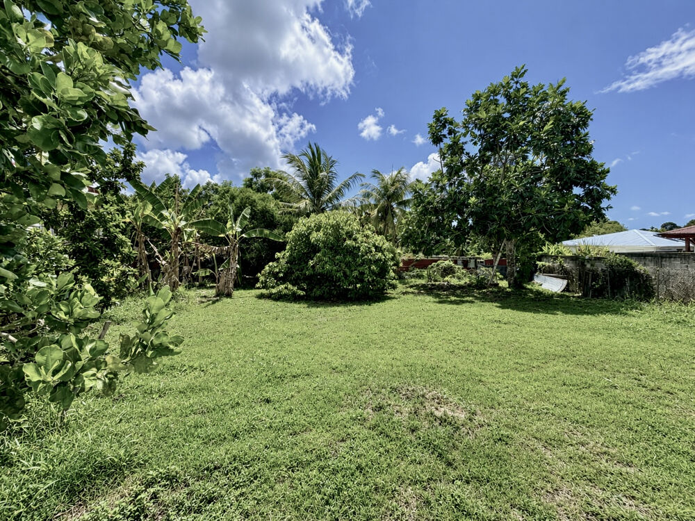 Vente Maison À VENDRE - Maison avec potentiel constructible sur un terrain de 1280 m2 à PETIT-BOURG Petit bourg