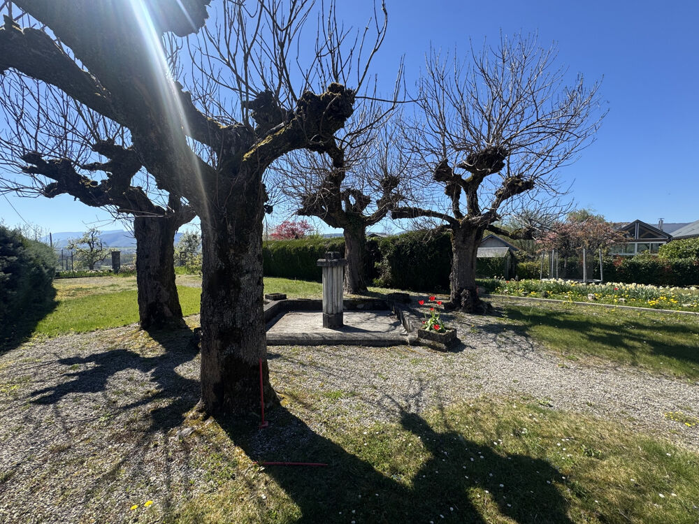 Vente Terrain Magnifique TERRAIN sur SAINT FELIX St felix