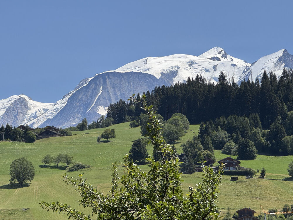 T4 COMBLOUX