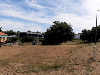  Terrain � vendre 1276 m� Vihiers