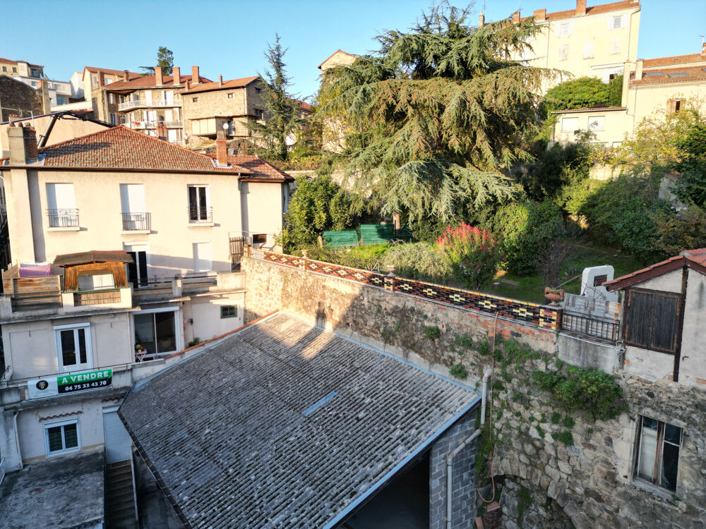 Vente Immeuble Immeuble avec jardins Annonay