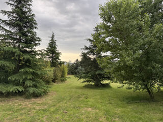  Terrain à vendre 2000 m²