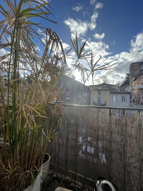  Appartement � louer 2 pi�ces 50 m�