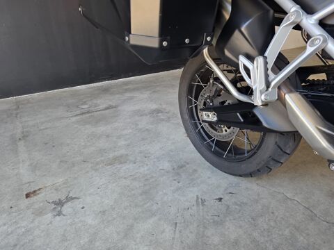 TRIUMPH 2025 occasion 56450 Theix-noyalo