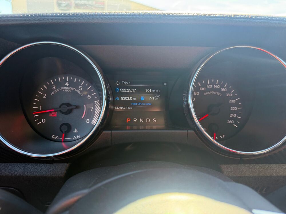 Mustang Base 2015 occasion 25300 Vuillecin