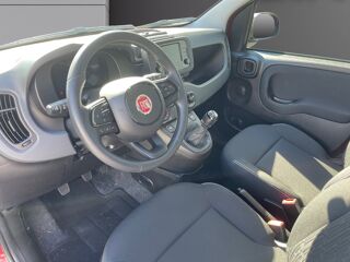 Panda 1.0 BSG 65 HYBRID ICONE 2026 occasion 17200 Saint-Sulpice-de-Royan