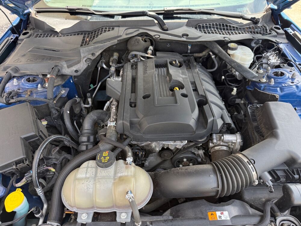 Mustang 2.3 ECOBOOST FASTBACK BA 2017 occasion 25300 Vuillecin