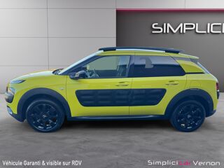 C4 cactus Shine 2014 occasion 27200 Vernon