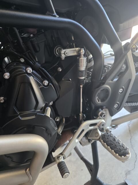 TRIUMPH 2025 occasion 56450 Theix-noyalo