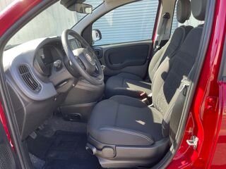 Panda 1.0 BSG 65 HYBRID ICONE 2026 occasion 17200 Saint-Sulpice-de-Royan