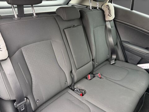 Sportage Active Business 2023 occasion 45750 Saint-Pryv&eacute;-Saint-Mesmin