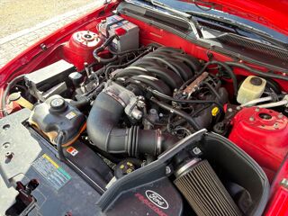 Mustang 4.6 V8 GT AUTO IMPORTE 2006 occasion 45750 Saint-Pryv&eacute;-Saint-Mesmin