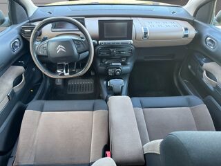 C4 cactus Shine 2014 occasion 27200 Vernon