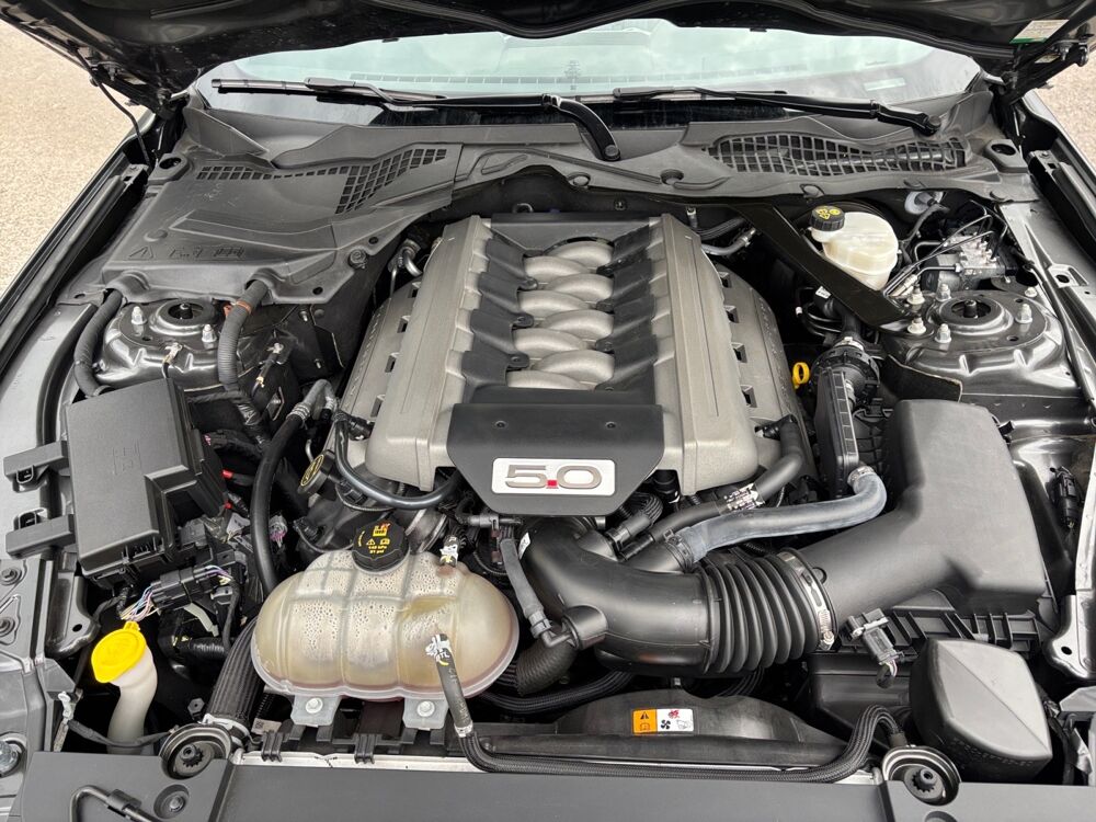 Mustang FASTBACK 5.0 V8 446 GT BA 2016 occasion 25410 Saint-Vit