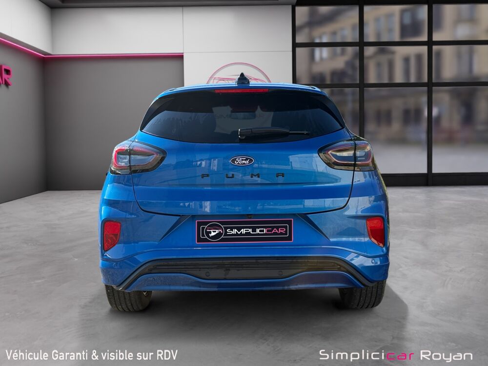 Puma II 1.0 FLEXIFUEL 125 S&S TITANIUM DESIGN 2 BVM6 2024 occasion 17200 Saint-Sulpice-de-Royan