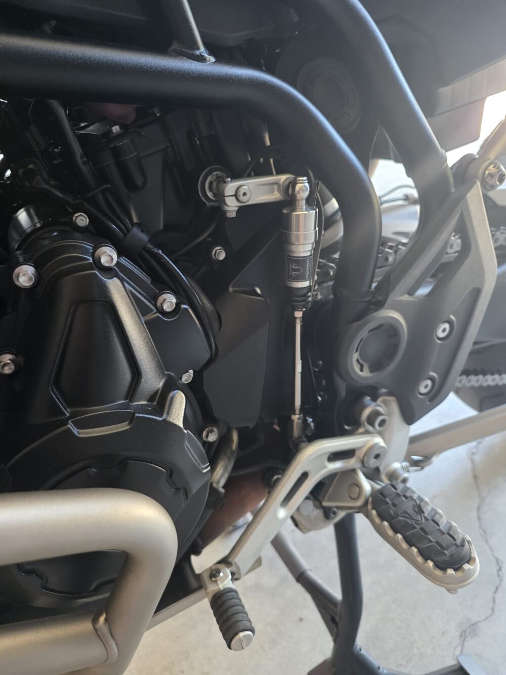 TRIUMPH 2025 occasion 56450 Theix-noyalo