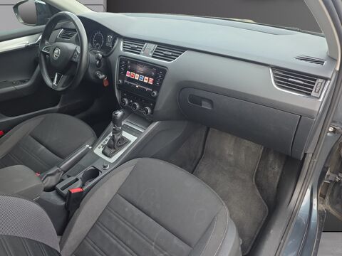 Octavia COMBI 2.0 TDI 150 DSG 2019 occasion 49070 Beaucouz&eacute;
