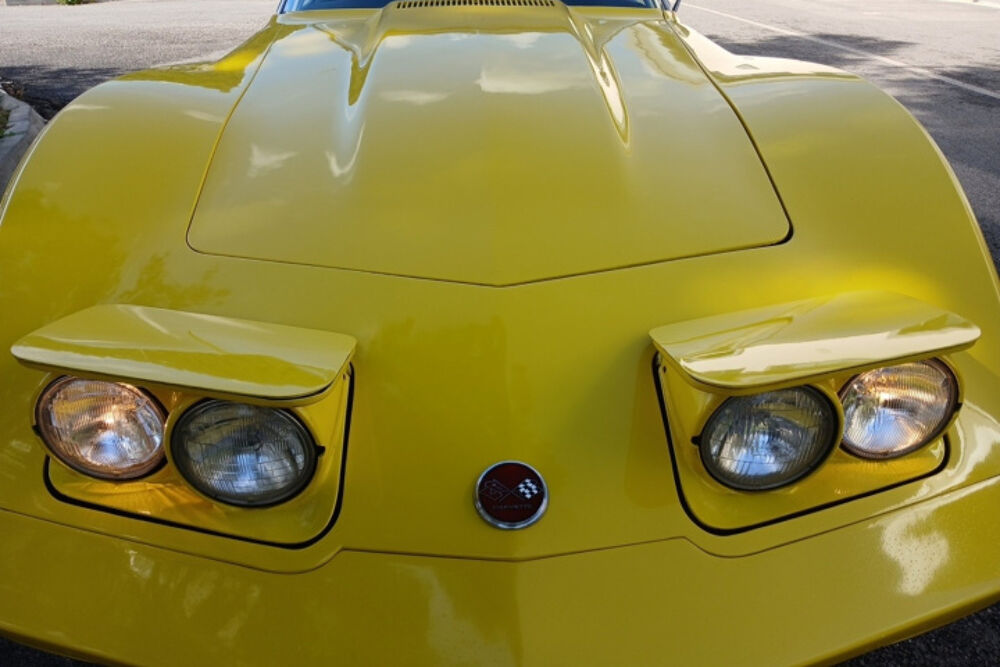 Corvette CHEVROLET C3 1976 occasion 13600 La Ciotat