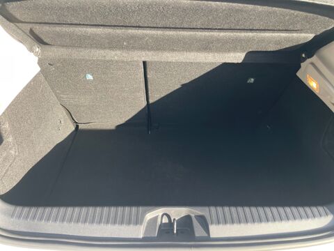 Clio Business TCE 100CH 2020 occasion 17200 Saint-Sulpice-de-Royan