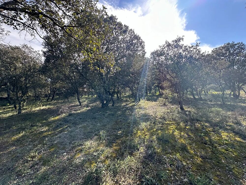 Vente Terrain Terrain de 2020m² constructible viabilisé à Saint Restitut Saint restitut