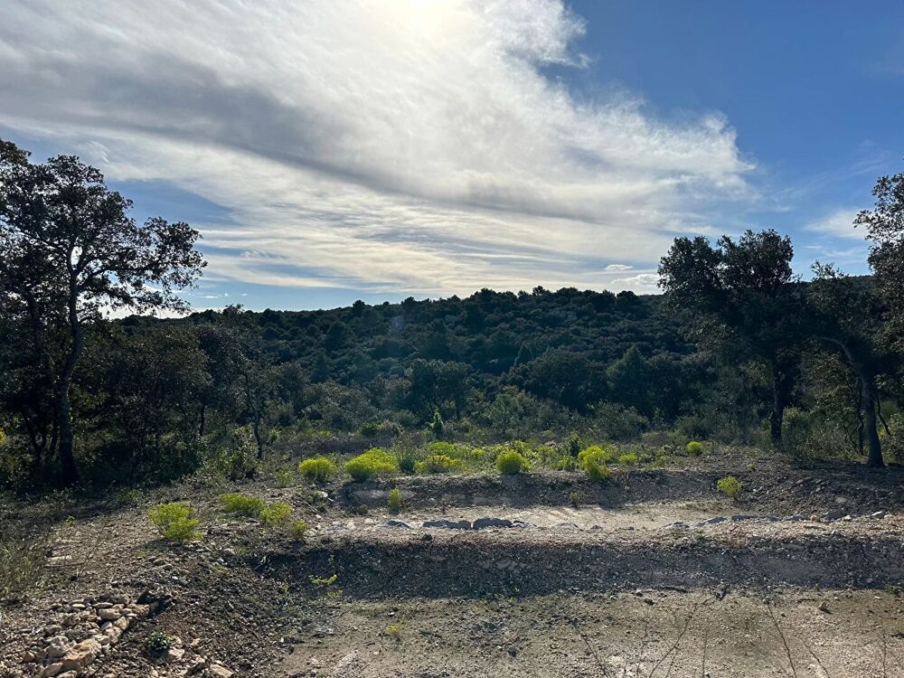 Vente Terrain Terrain de 2020m² constructible viabilisé à Saint Restitut Saint restitut