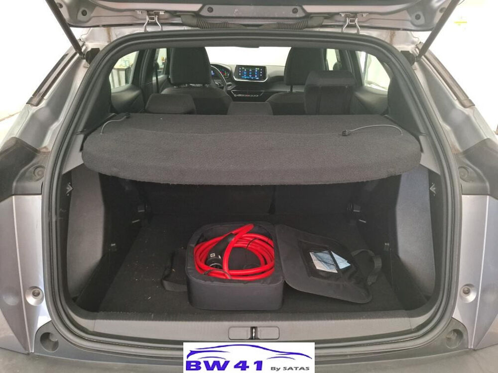2008 ELECTRIQUE ACTIVE PACK 2023 occasion 41250 Neuvy