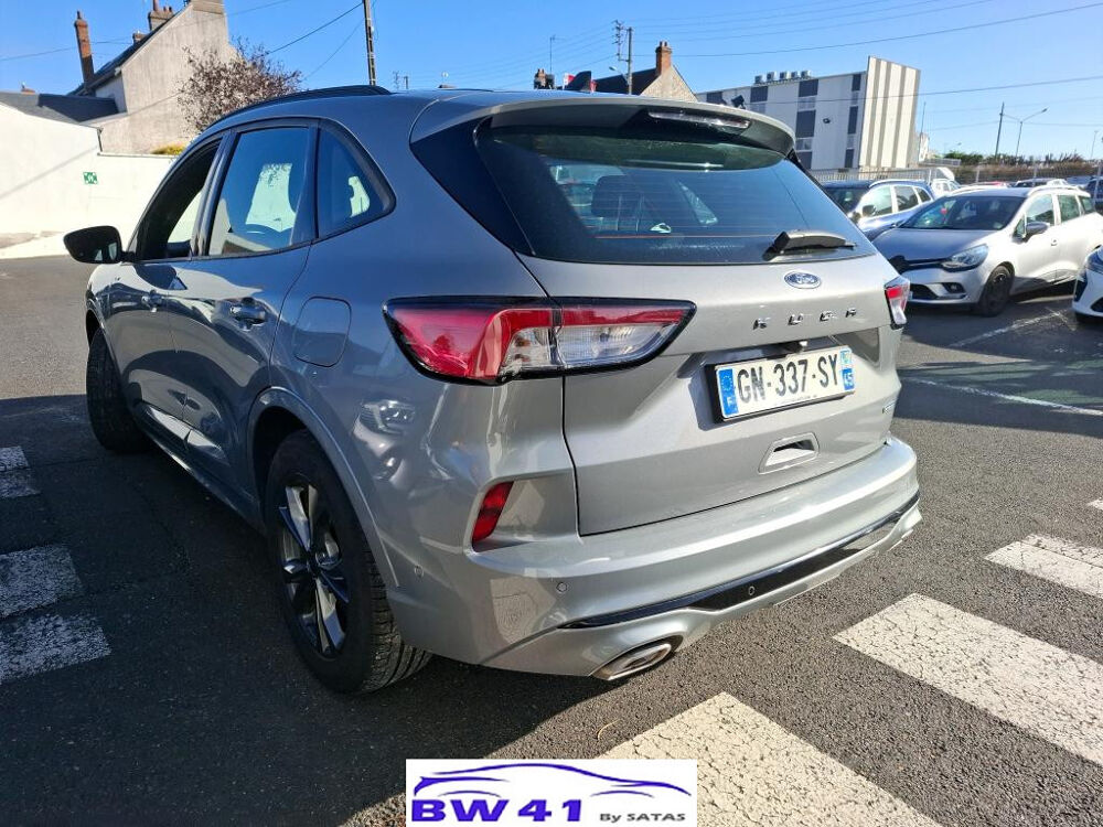 Kuga 25 190 Hybrid FlexiFuel Pshif STLine B 2023 occasion 41250 Neuvy