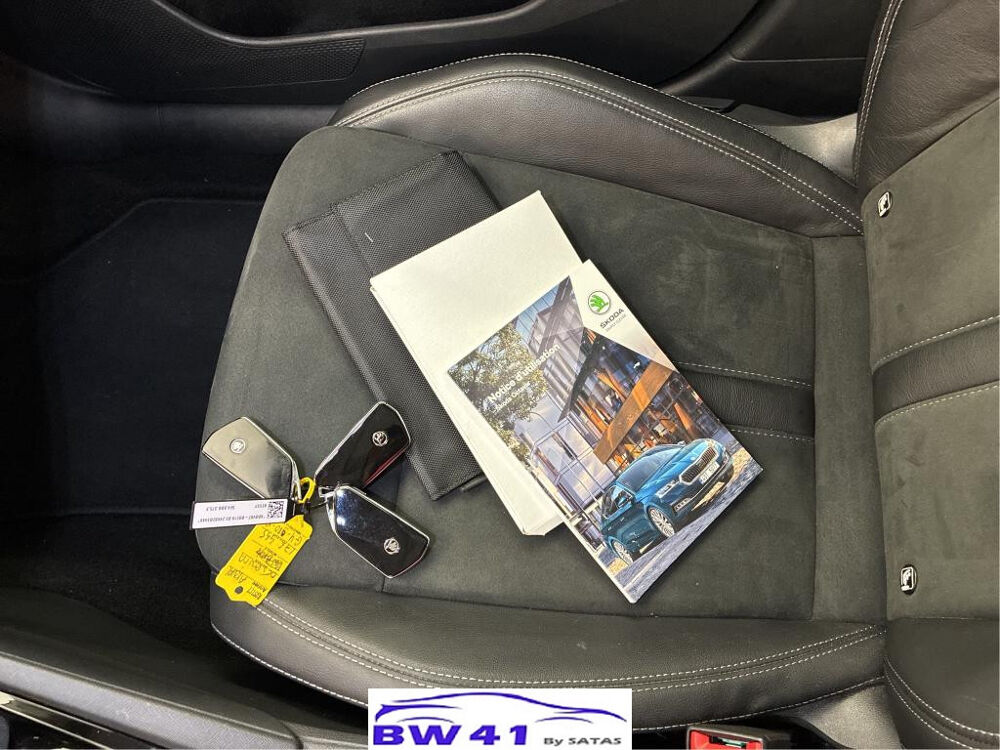 Octavia 2.0 TDI 150 DSG7 Style 2024 occasion 41250 Neuvy