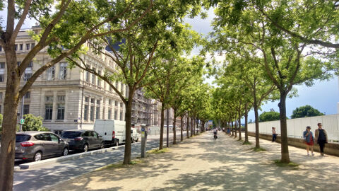  Appartement � louer 2 pi�ces 24 m�