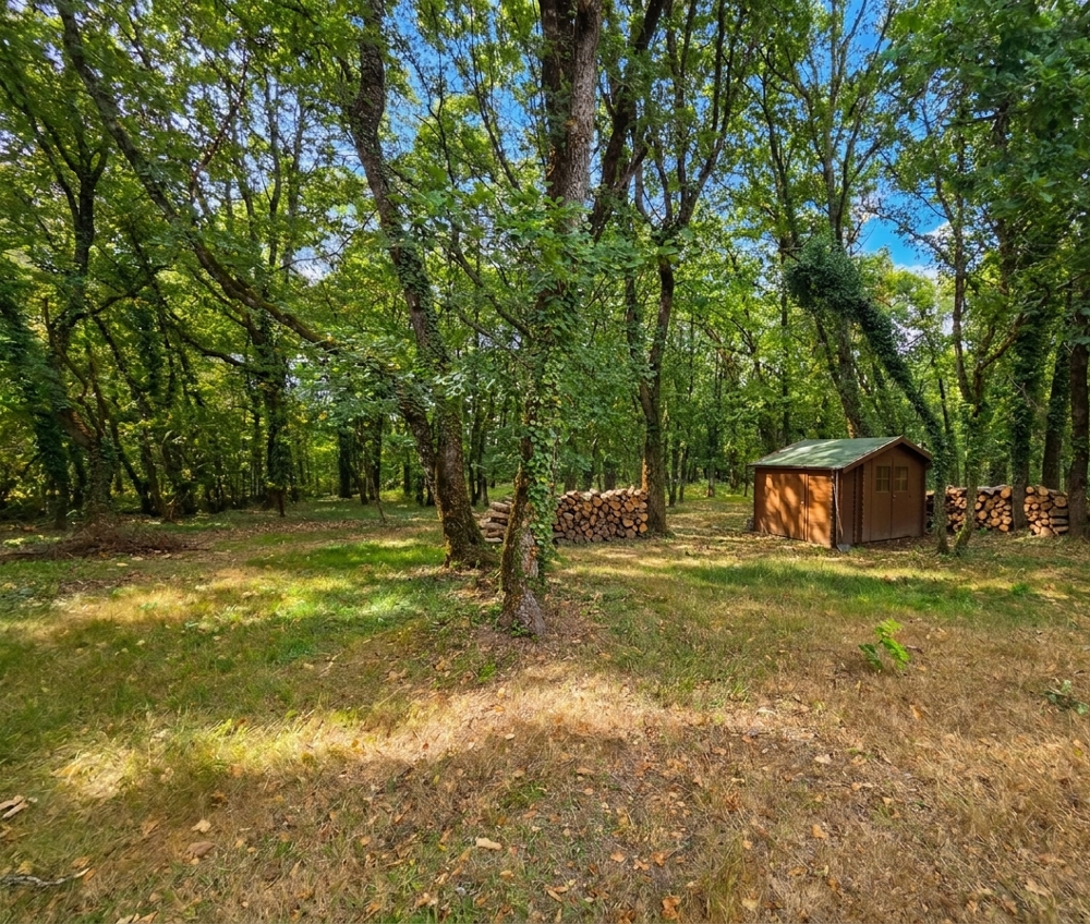 Vente Propriété/Château Maison familiale avec piscine, parc boisé et vie de plain-pied   À seulement 5 minutes de Villeréal Villereal