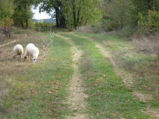  Terrain � vendre 14669 m�