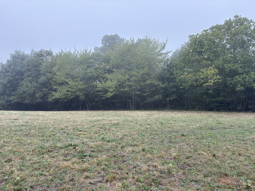 Vente Terrain Un bel écrin de verdure pour votre projet en Périgord Noir Orliac