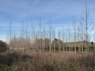  Terrain à vendre 58100 m²