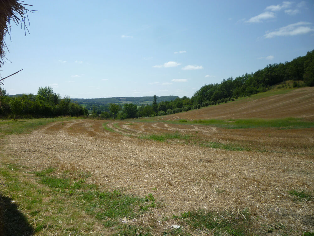 Vente Terrain TERRAIN AGRICOLE Dausse