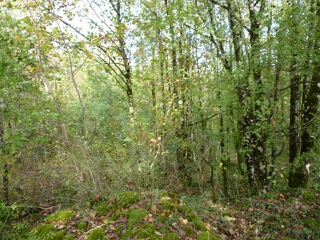  Terrain � vendre 14669 m�