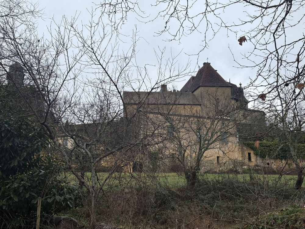 Vente Maison Maison de village avec jardin privatif au cœur du Périgord   Biron Biron