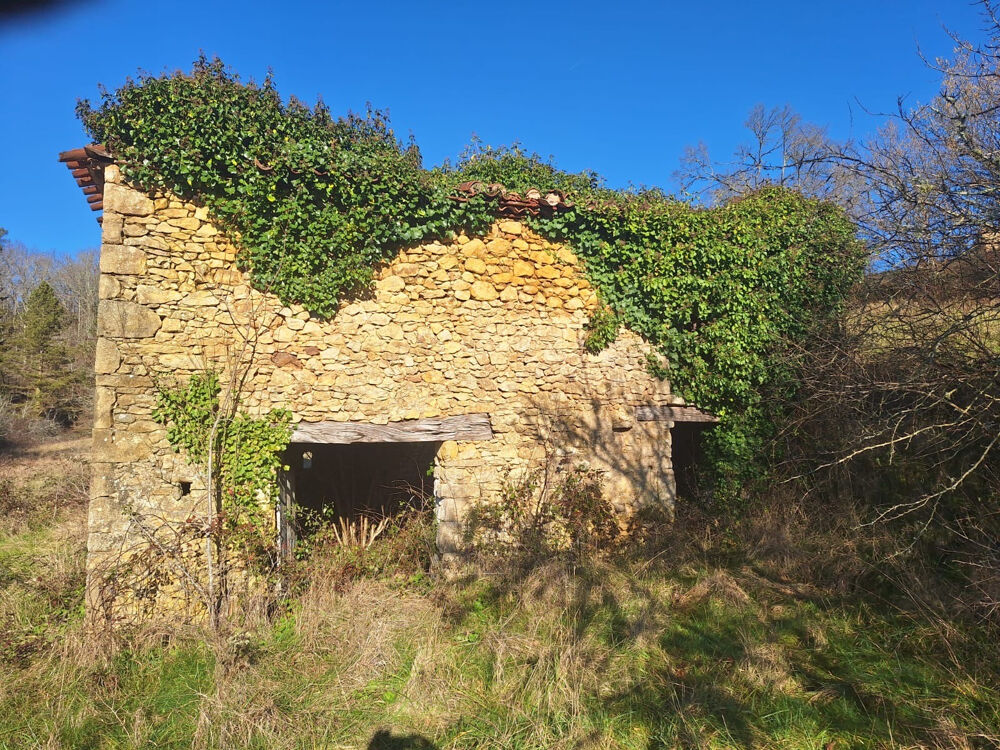 Vente Terrain TERRAIN AVEC SA RUINE Mazeyrolles