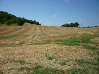  Terrain à vendre 80000 m²