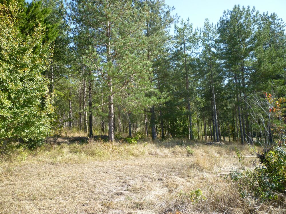 Vente Terrain TERRAIN DE LOISIRS Bourlens