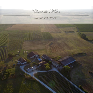  Propriété/château à vendre 15 + pièces 605 m²