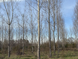  Terrain � vendre 58100 m�