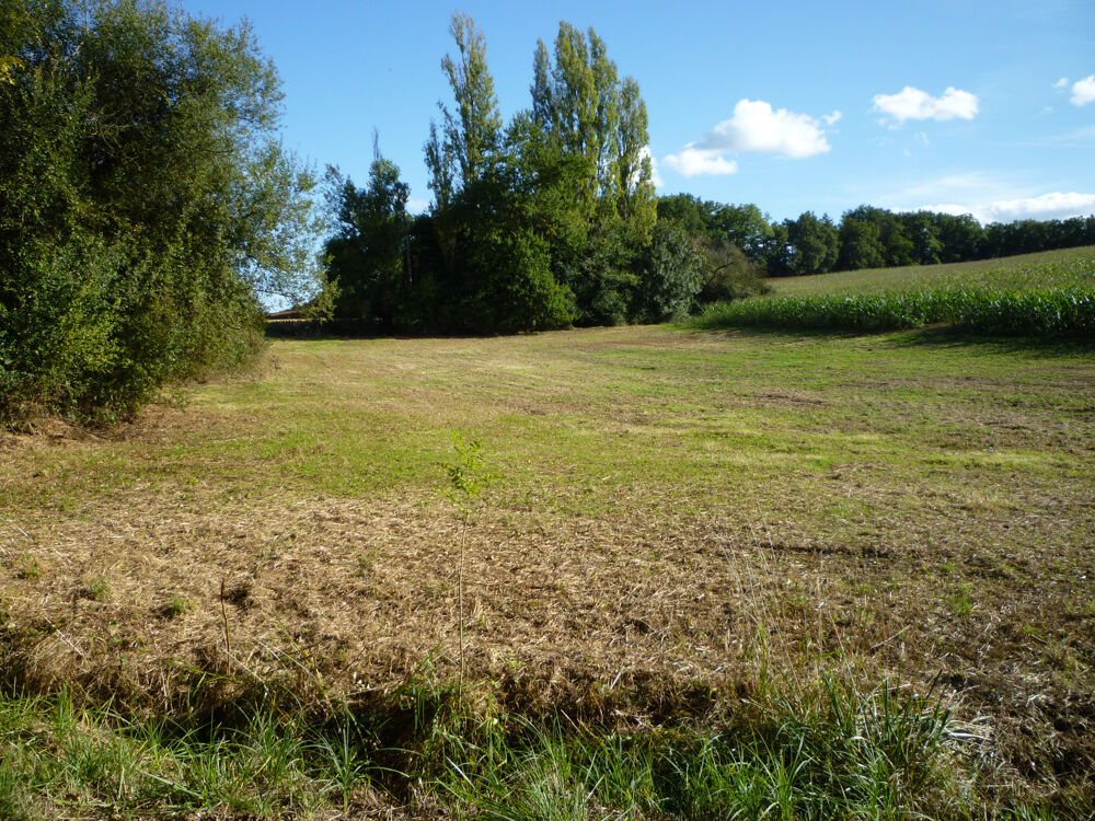 Vente Terrain TERRAIN DE LOISIR Masquieres