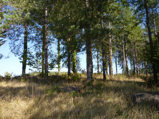  Terrain à vendre 24300 m²