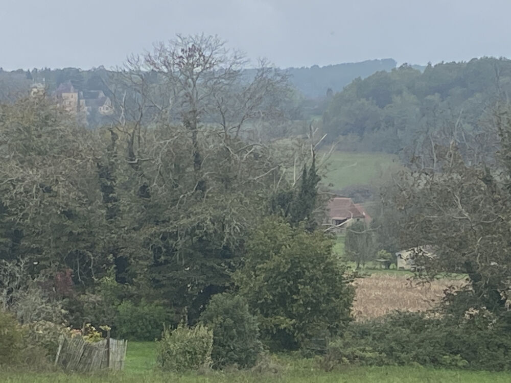 Vente Terrain TERRAIN CONSTRUCTIBLE Coux et biragoque