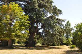  Propri�t�/ch�teau � vendre 10 pi�ces 337 m�