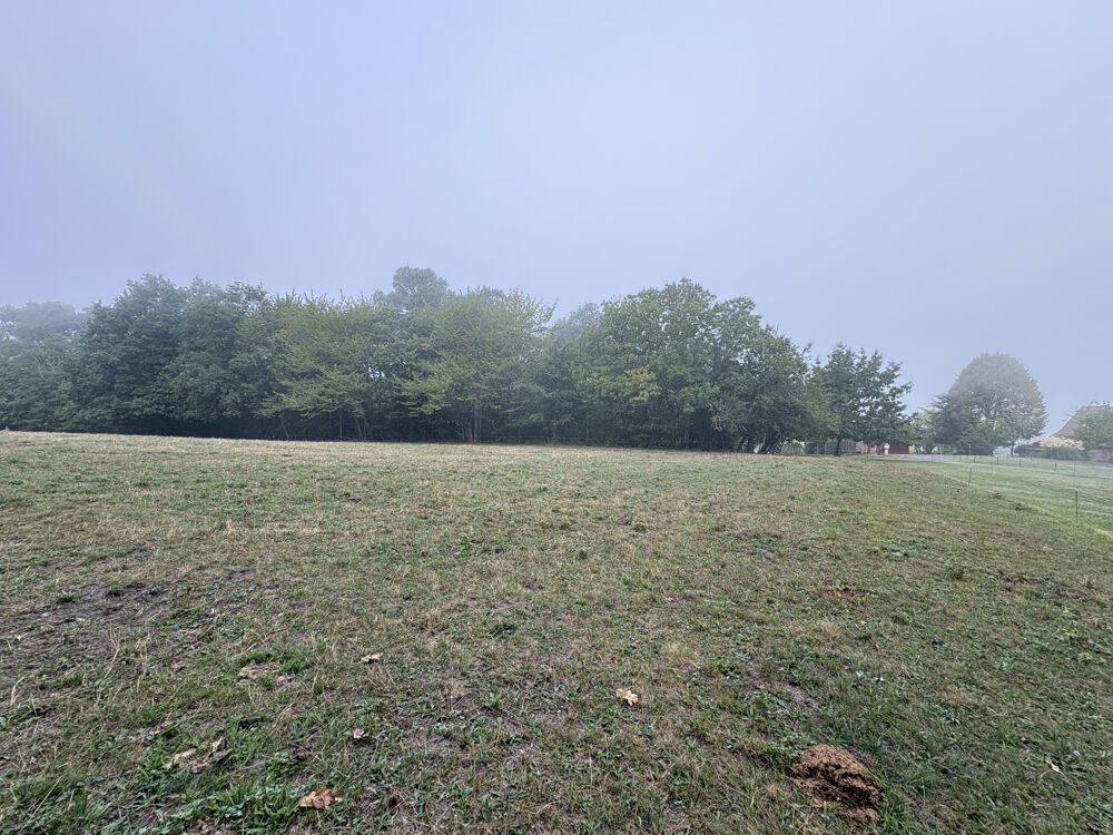 Vente Terrain Terrain constructible ORLIAC Orliac