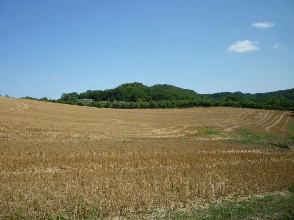 Vente Terrain TERRAIN AGRICOLE Dausse