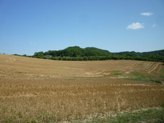  Terrain à vendre 80000 m²