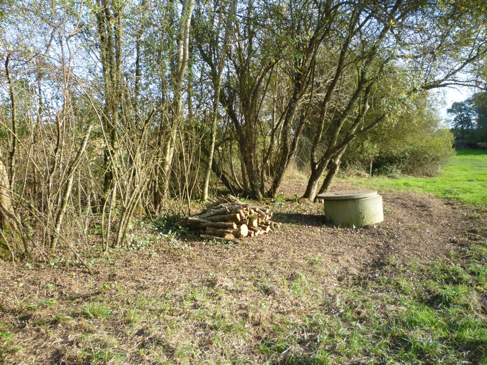 Vente Terrain TERRAIN DE LOISIR Masquieres