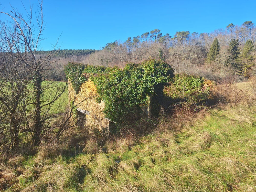 Vente Terrain TERRAIN AVEC SA RUINE Mazeyrolles
